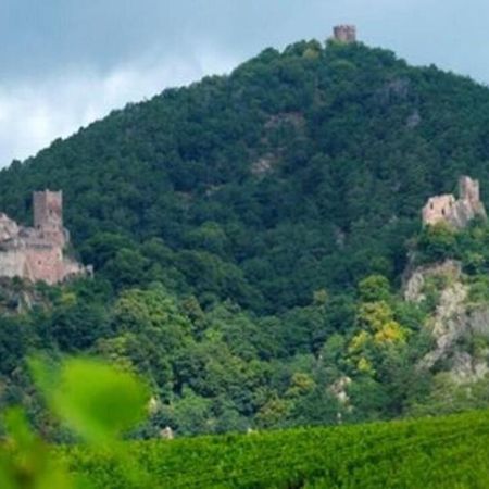 فندق La Ferme Des Perles Noires ريبوفيل المظهر الخارجي الصورة