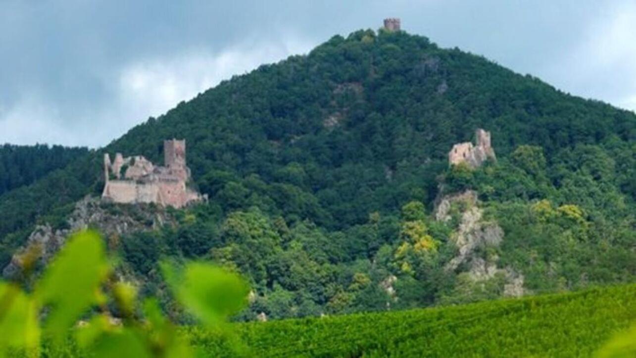 فندق La Ferme Des Perles Noires ريبوفيل المظهر الخارجي الصورة